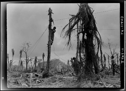 Marines installing telephone lines under fire on Peleliu. In the background is seen part of famous Bloody Nose Ridge... - NARA - 520729