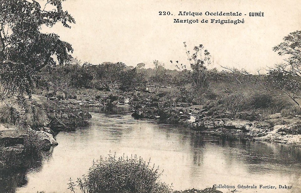 Marigot de Friguiagbé (Guinée)