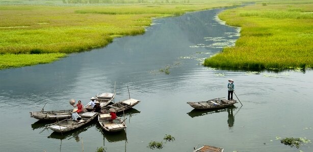 The boat flower ninh binh