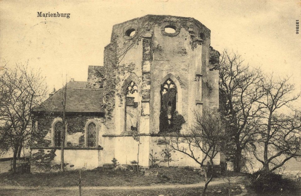 Marienburg (Mosel), Rheinland-Pfalz - Kloster, Kirchenruine von Osten (Zeno Ansichtskarten)