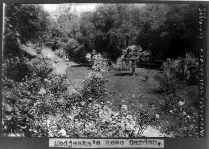Modjeska's rose garden LCCN90707255