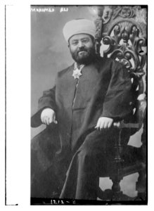 Mohamed Ali LCCN2014686205