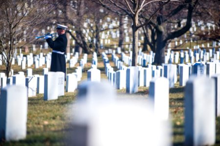Marine Burial Feb 13, 2015 - bugler (16335943797)