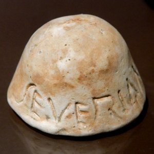 Mold Severianus MAB 5-3-85