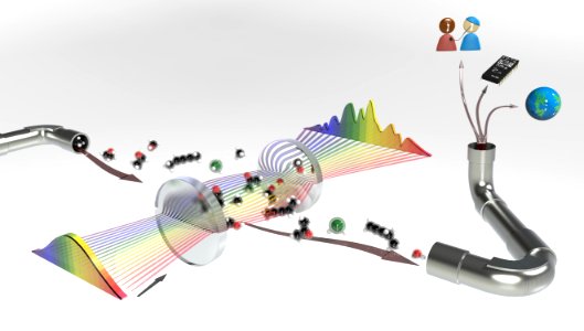 Molecular Fingerprinting (5940479099)