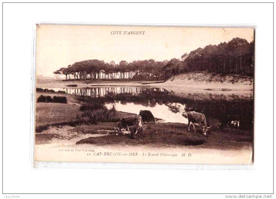 Marine landaise Capbreton
