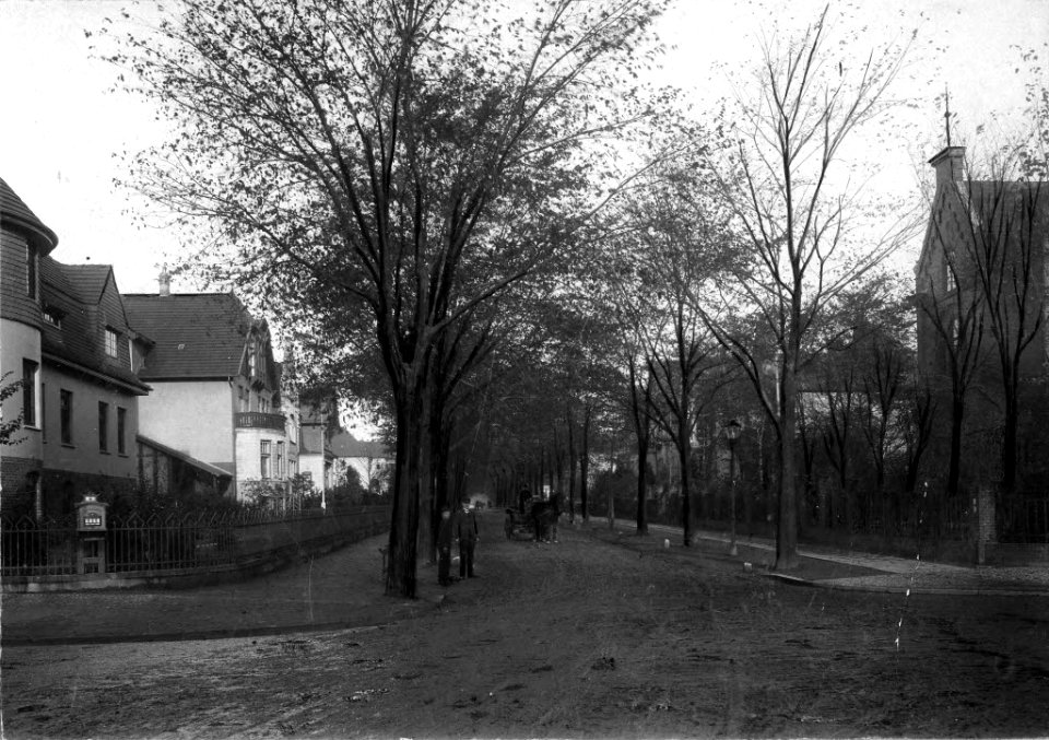 Moltkestraße (Kiel 49.397)