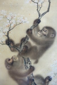 Monkeys in a Blossoming Cherry Tree, 1 of 2, Mori Sosen, Japan, Edo period, early 1800s, ink and color on silk - Arthur M. Sackler Museum, Harvard University - DSC01127