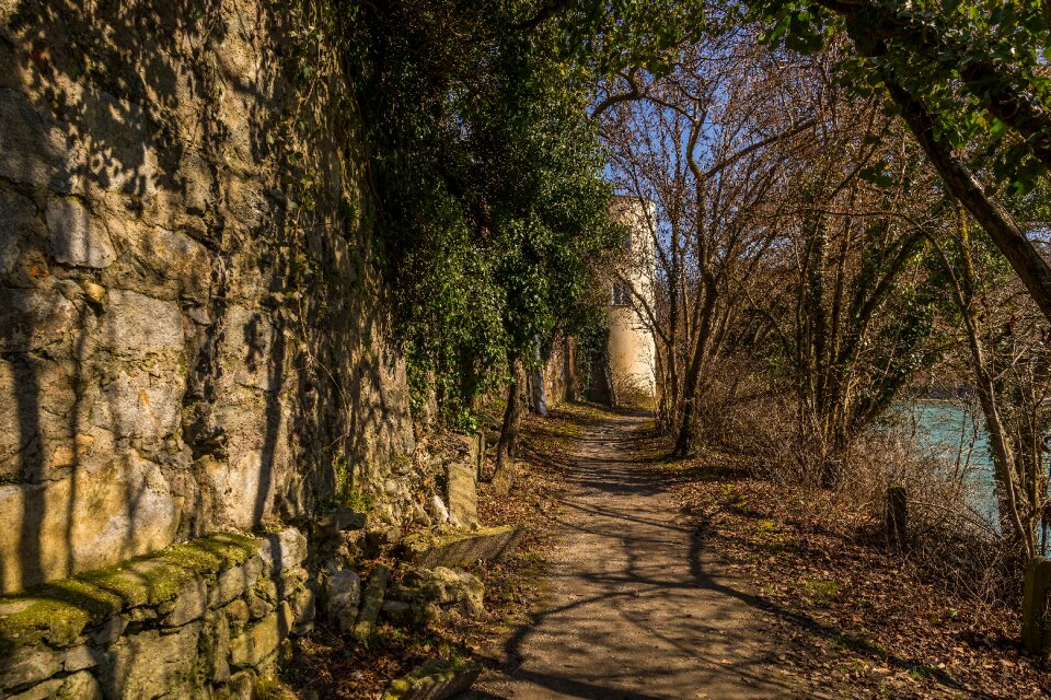 Landscape leaf travel