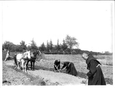 Monks farming stony ground at Mission Santa Barbara, ca.1901-1904 (CHS-4168)