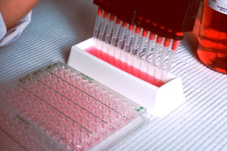 Monoclonal antibodies (6)