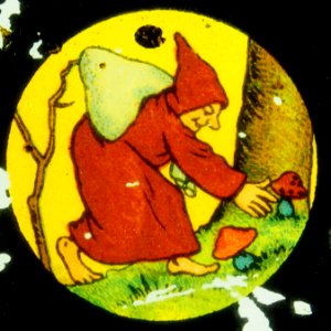 Monk picking mushrooms picture 2