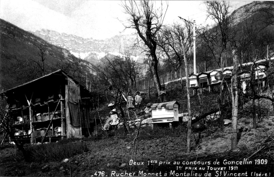 Montalieu de Saint-Vincent-de-Mercuze, rucher Monnet gagnant 2 1er prix au concours de Goncelin 1909, 1er prix au Touvet 1911, p24 L'Isère 1900-1920