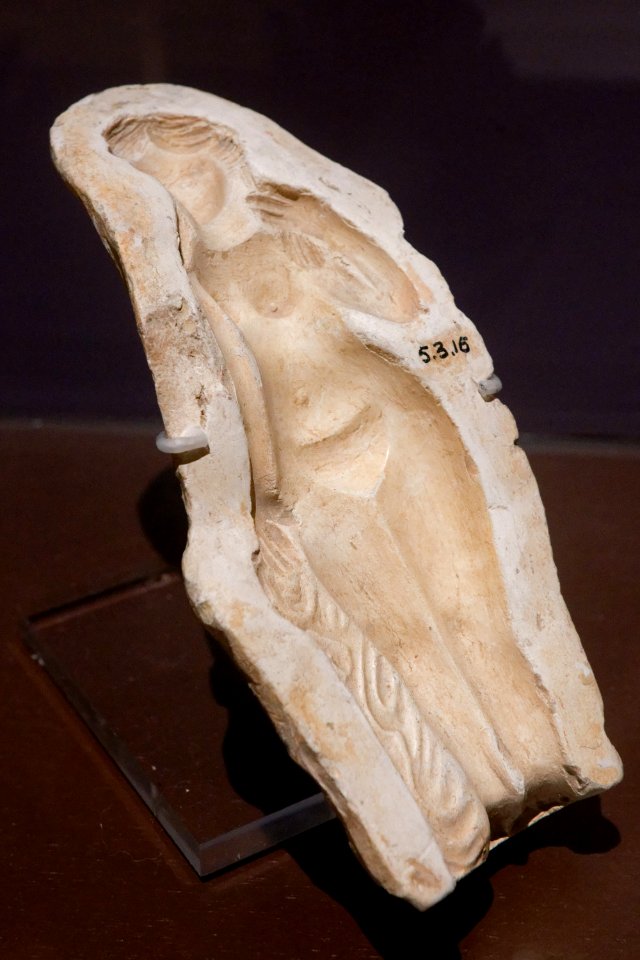 Mold Venus Anadyomene MAB 5-3-16