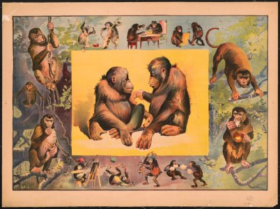 Monkeys at play LCCN2018647608