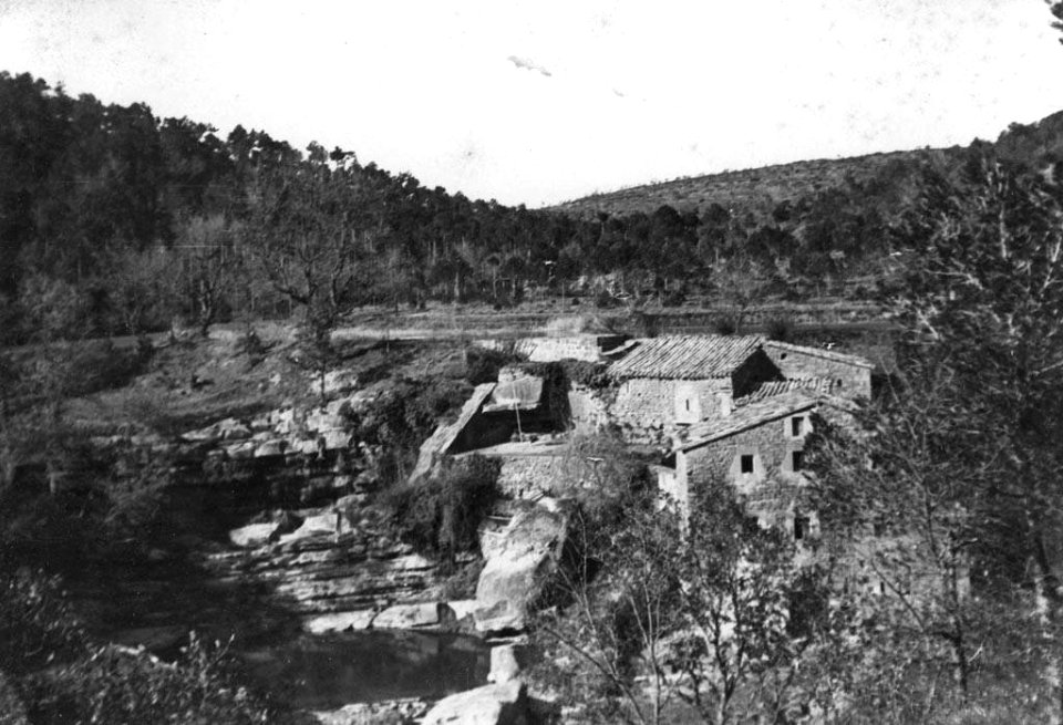 Molí de Plaixats enmig d'un bosc de Matamargó