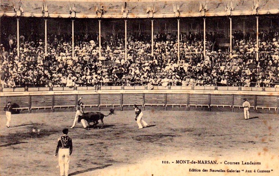 Mont-de-Marsan - Arènes - Courses landaises 1