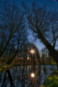 Landscape pond forest