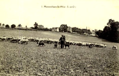 Montmélian, panorama avec berger et troupeau photo
