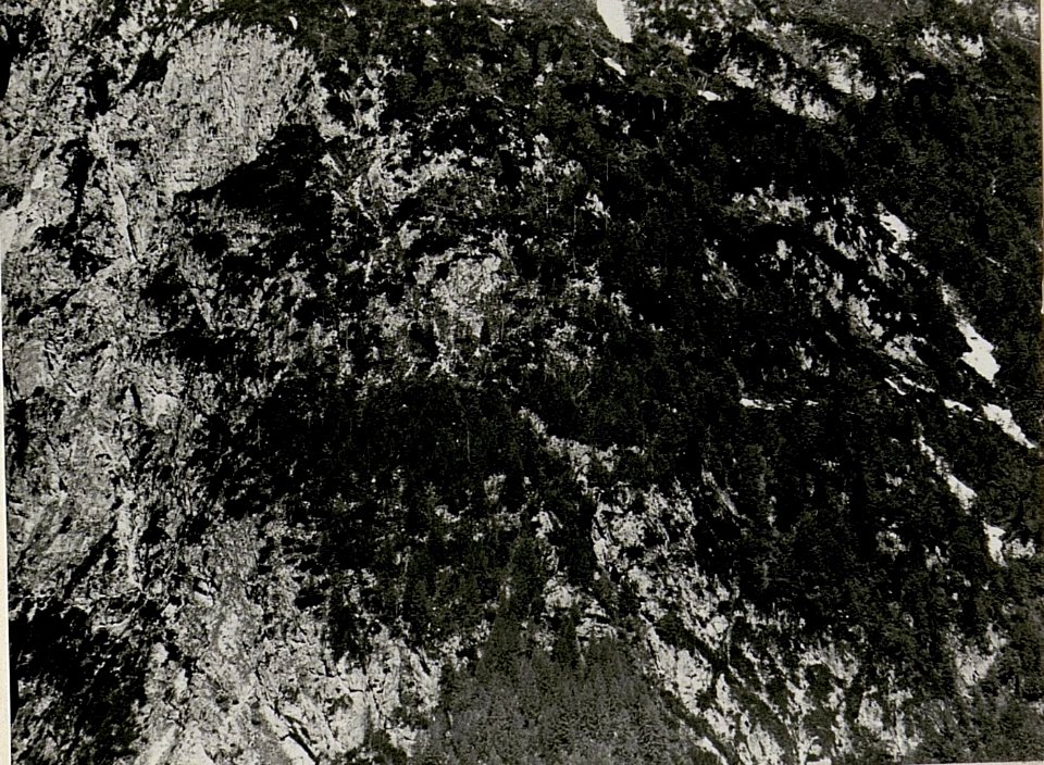 Montasch, Köpfach und Mittagskofel von dem kl. Nabois ¤ 1725 II. Teilbild (BildID 15517011)