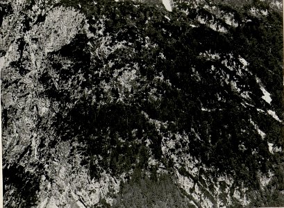 Montasch, Köpfach und Mittagskofel von dem kl. Nabois ¤ 1725 II. Teilbild (BildID 15517011)