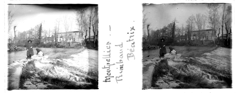 Montpellier. Rimbaud. Beatrix - Fonds Berthelé - 49Fi997