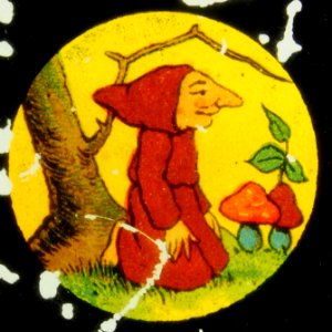 Monk picking mushrooms picture 4