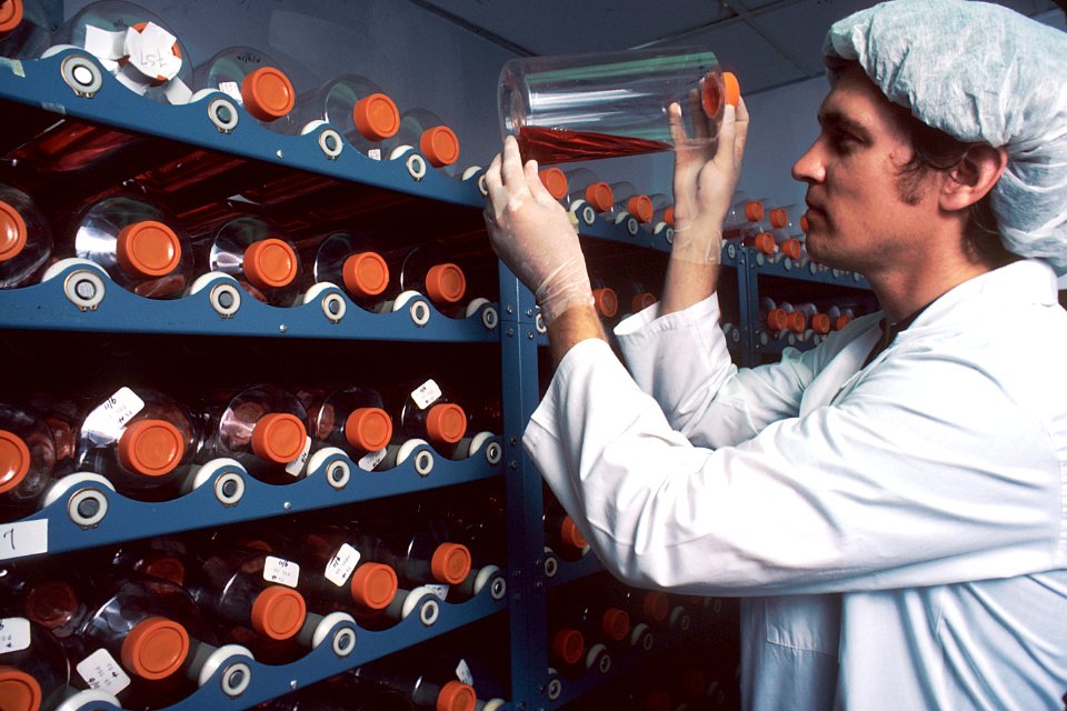 Monoclonal antibodies (3)