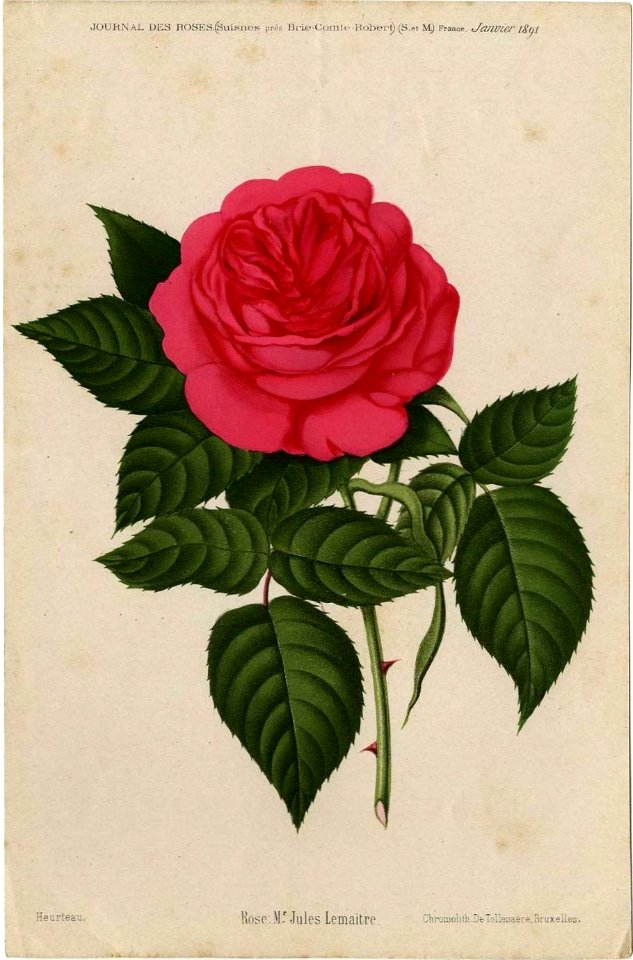 Monsieur Jules Lemaître
