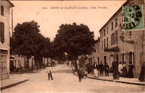 Mont-de-Marsan - Allées Brouchet 2