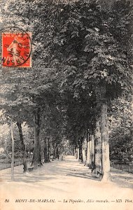 Mont-de-Marsan - Pepinière 2