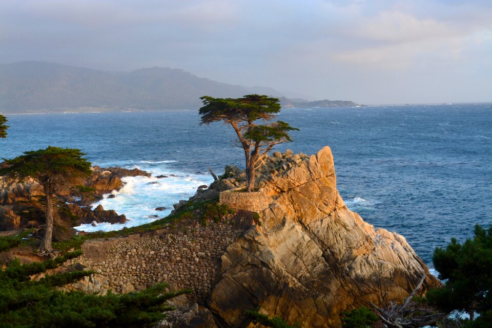 Cypress monterey blue lonely