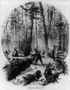 Minnesota. Sawing into logs LCCN2007675612