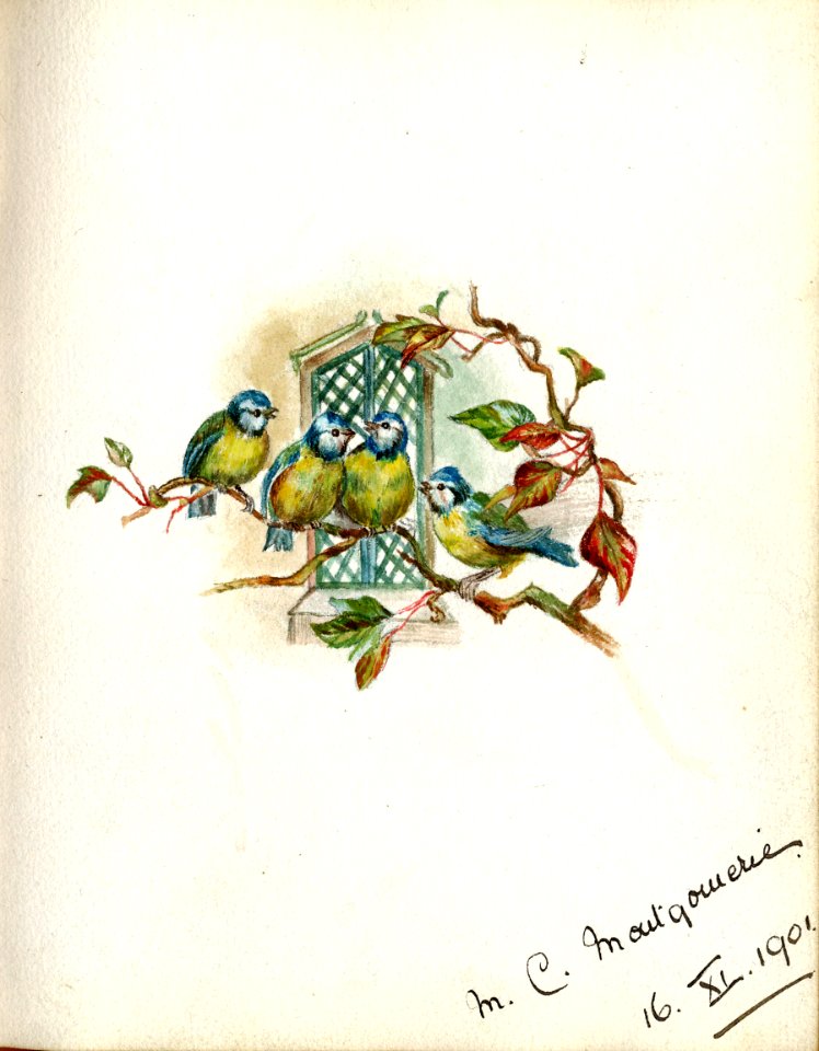 Minnie Montgomerie 1901