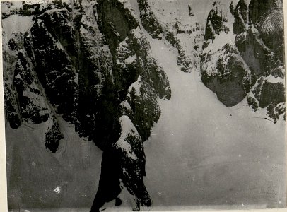 Montaschhang von ¤ 1513 Schwarzenberg III. Teilbild (BildID 15516787)