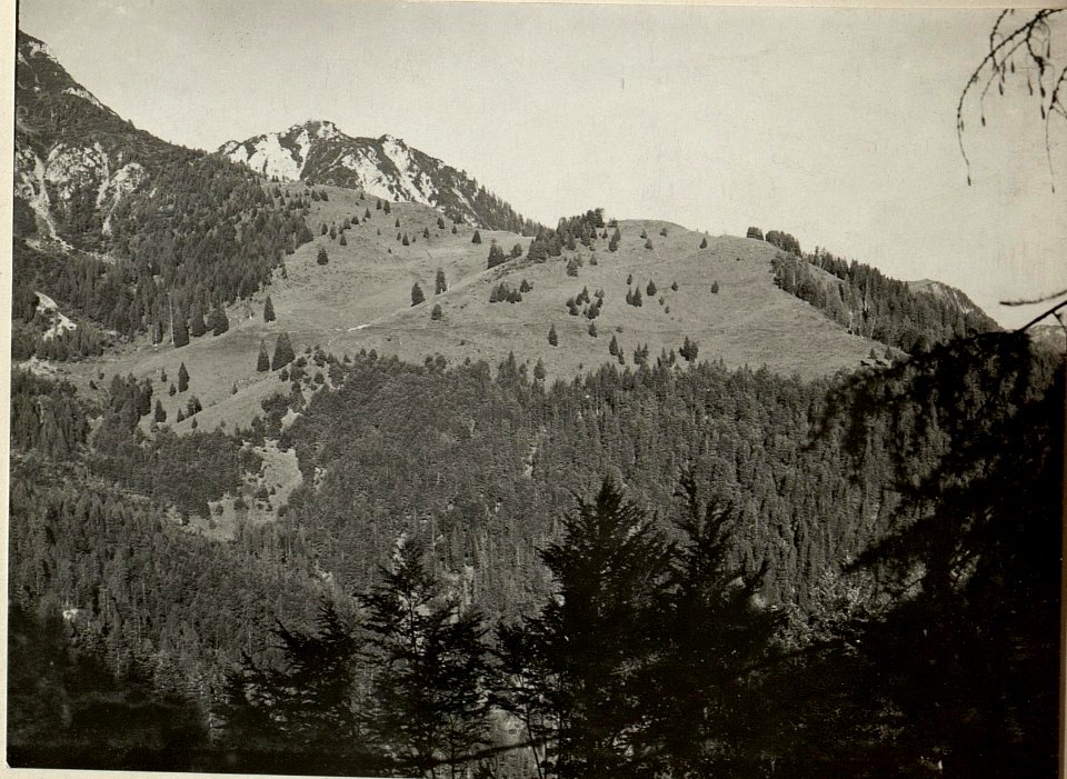 Monte GOFADON, MARZILLA Kote 1823 LUSNITZER ALM und GRANUDA. Aufgenommen am 18. Juli 1916. (BildID 15478220)