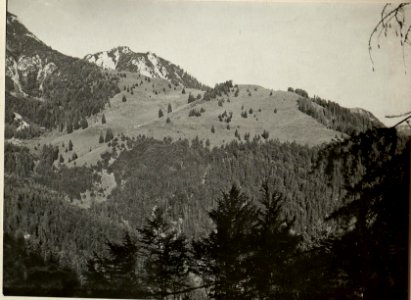 Monte GOFADON, MARZILLA Kote 1823 LUSNITZER ALM und GRANUDA. Aufgenommen am 18. Juli 1916. (BildID 15478220)