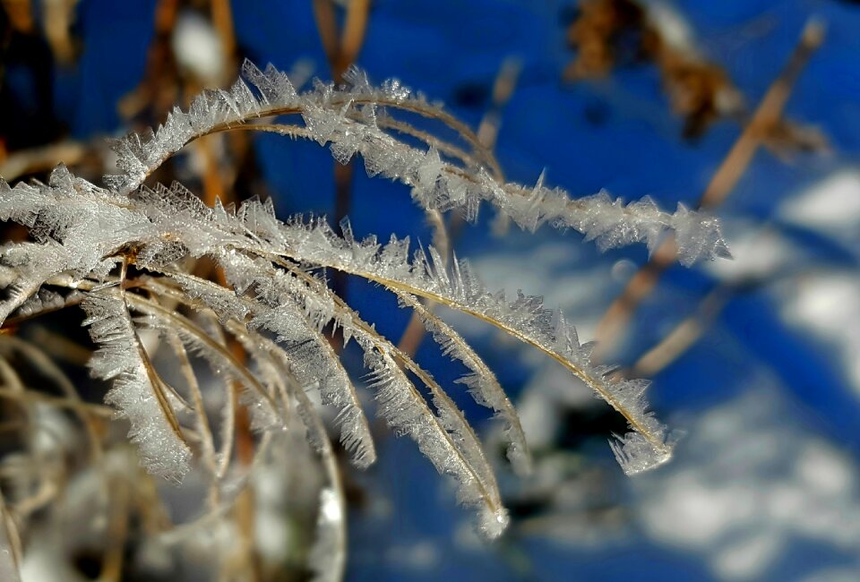 Nature cold eiskristalle
