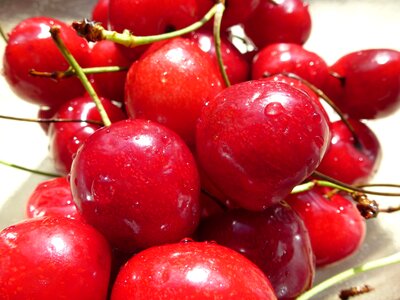 Cherry cherries cherry harvest photo