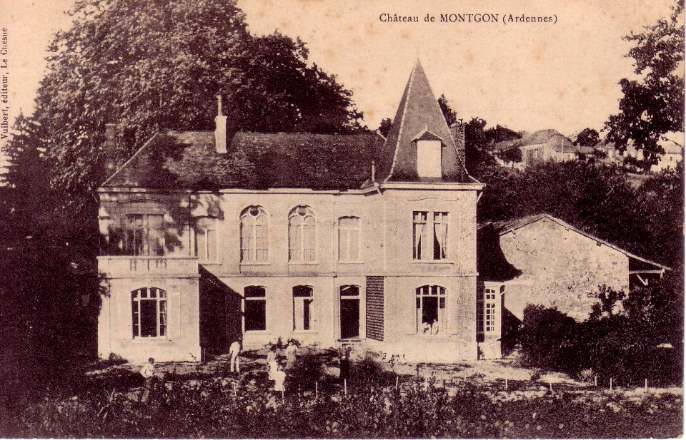 Montgon château