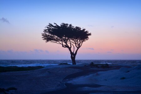 Pacific grove california