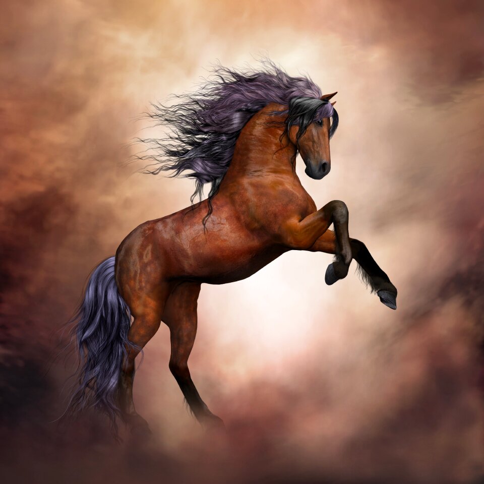 Composing animal wild