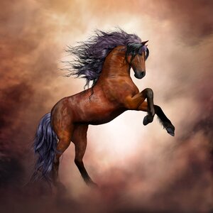 Composing animal wild