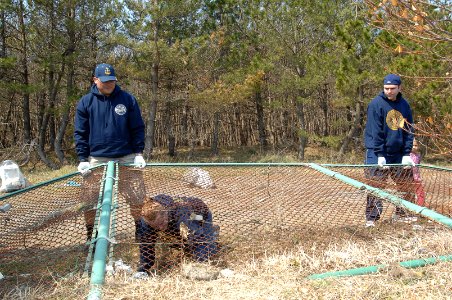 Misawa sailors help clean up local fish port 120421-N-ZI955-040