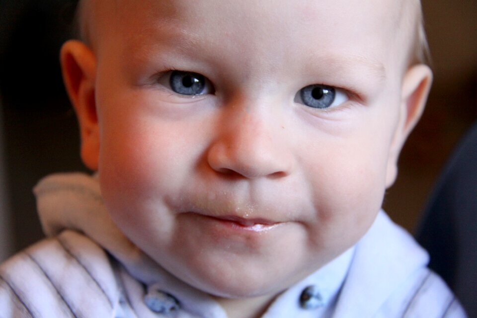 Boy portrait portrait of a child