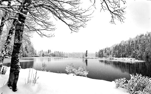 Cold landscape snow nature photo