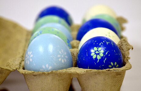 Color colorful colorful eggs