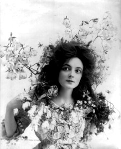 Miss Marie Doro (No 2) 3b21752u