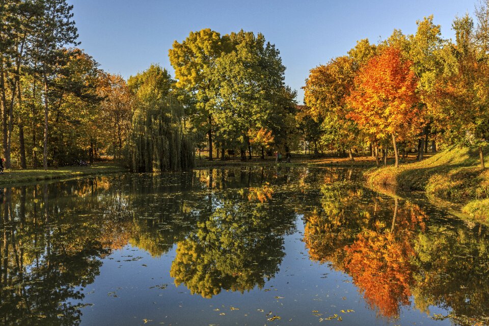 Autumn nature season mood photo