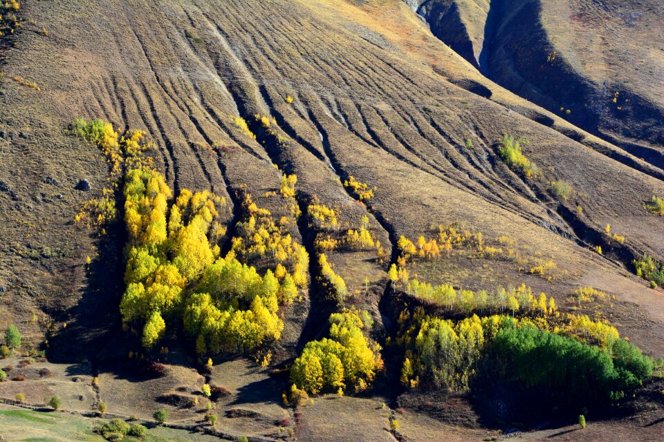 Landscapes nature sky grass